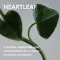 Abib Pore Cleansing Oil Heartleaf 6.76 fl oz / 200ml