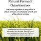 mixsoon Galactomyces Ferment Essence - Vegan (3.38 fl.oz / 100ml)