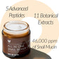 MIZON All in One Snail Repair Cream(2.53 Fl Oz Pack of 1)