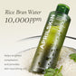 Aprilskin Artemisia Korean Rice Face Toner