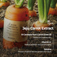 SKINFOOD Carrot Carotene Calming Water Pad 250g (8.81 oz.) 60 Sheets